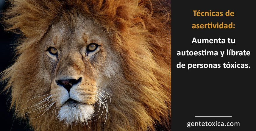 técnicas de asertividad que mejoraran tu autoestima